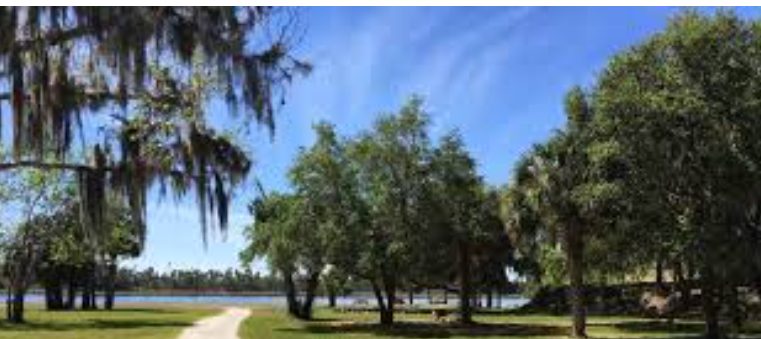Tree-lined road in Citrus County Florida, a peaceful setting popular with retirees