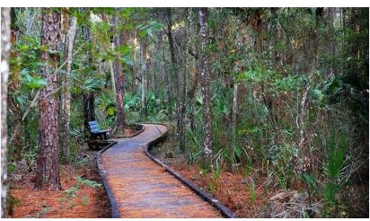 Best neighborhoods in Citrus County for retirees