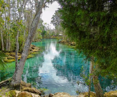 Three Sisters Springs in Crystal River Florida for blog about moving to Citrus County Florida