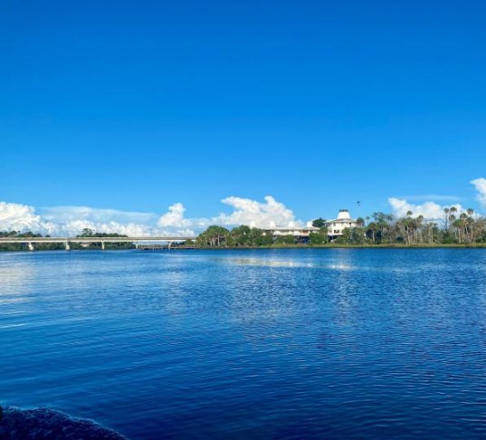Waterfront view in Citrus County Florida